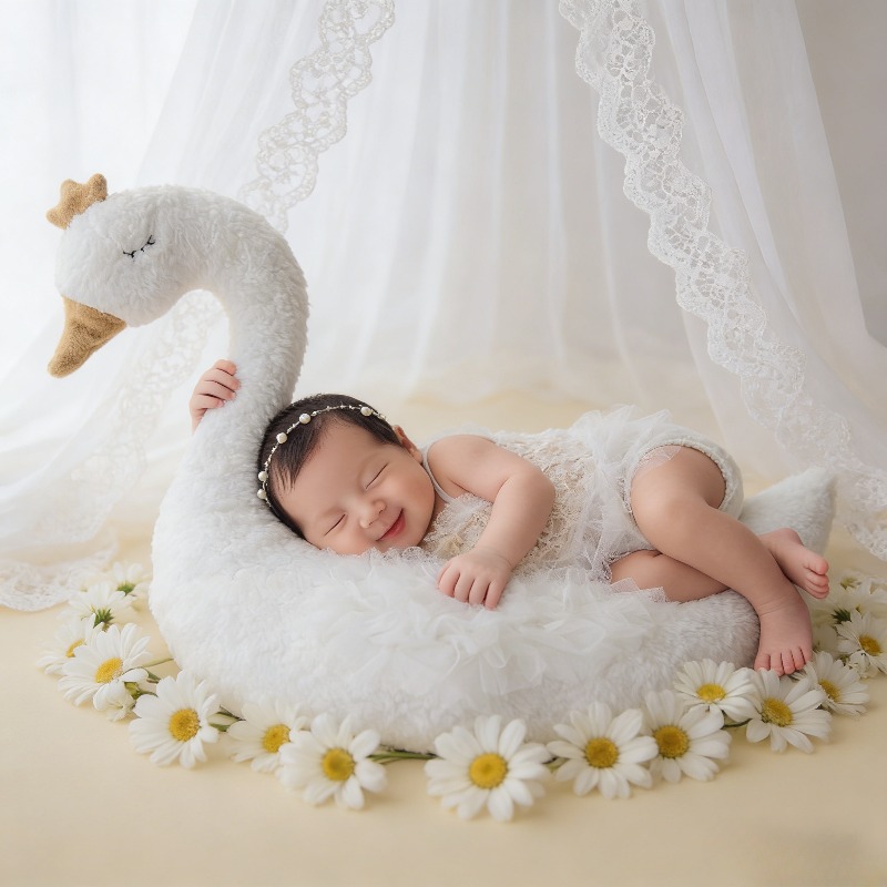 Newborn Photography Prop Swan  - đánh giá và giá Photography Outfit