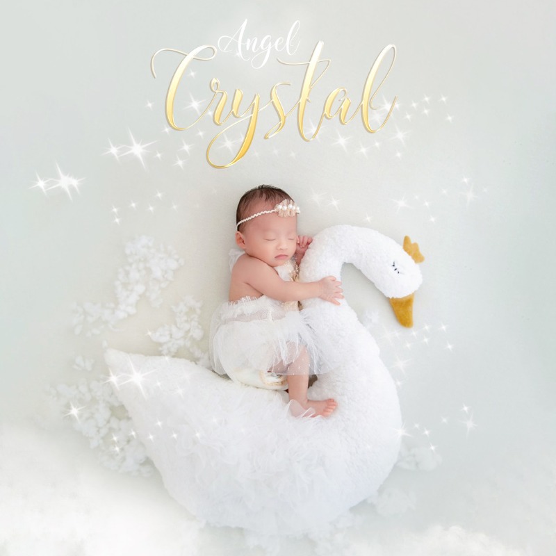 Newborn Photography Prop Swan  - đánh giá và giá Photography Outfit