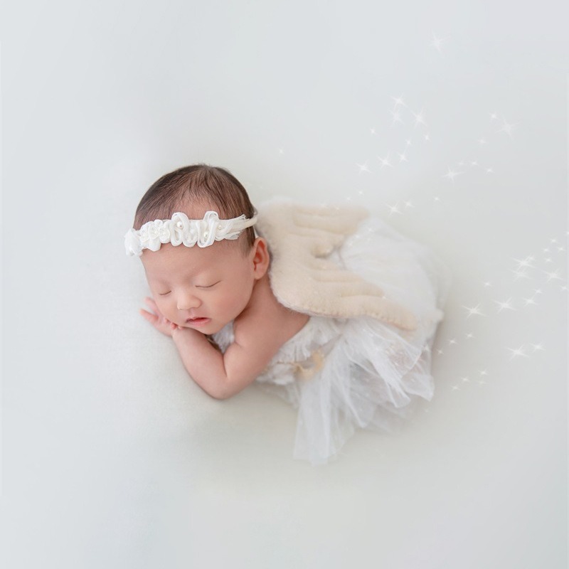 Newborn Photography Prop Swan  - đánh giá và giá Photography Outfit