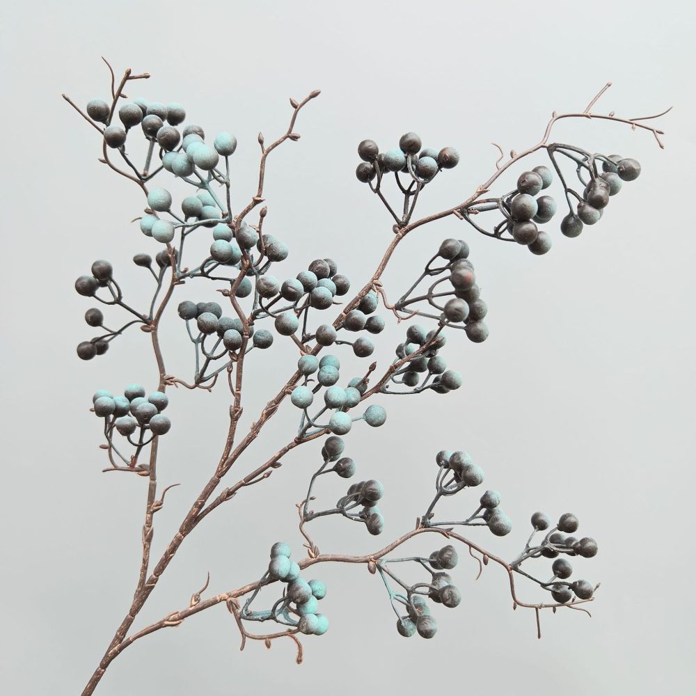 Decorative Simulation Berry Br - đánh giá và giá Photography Simulator