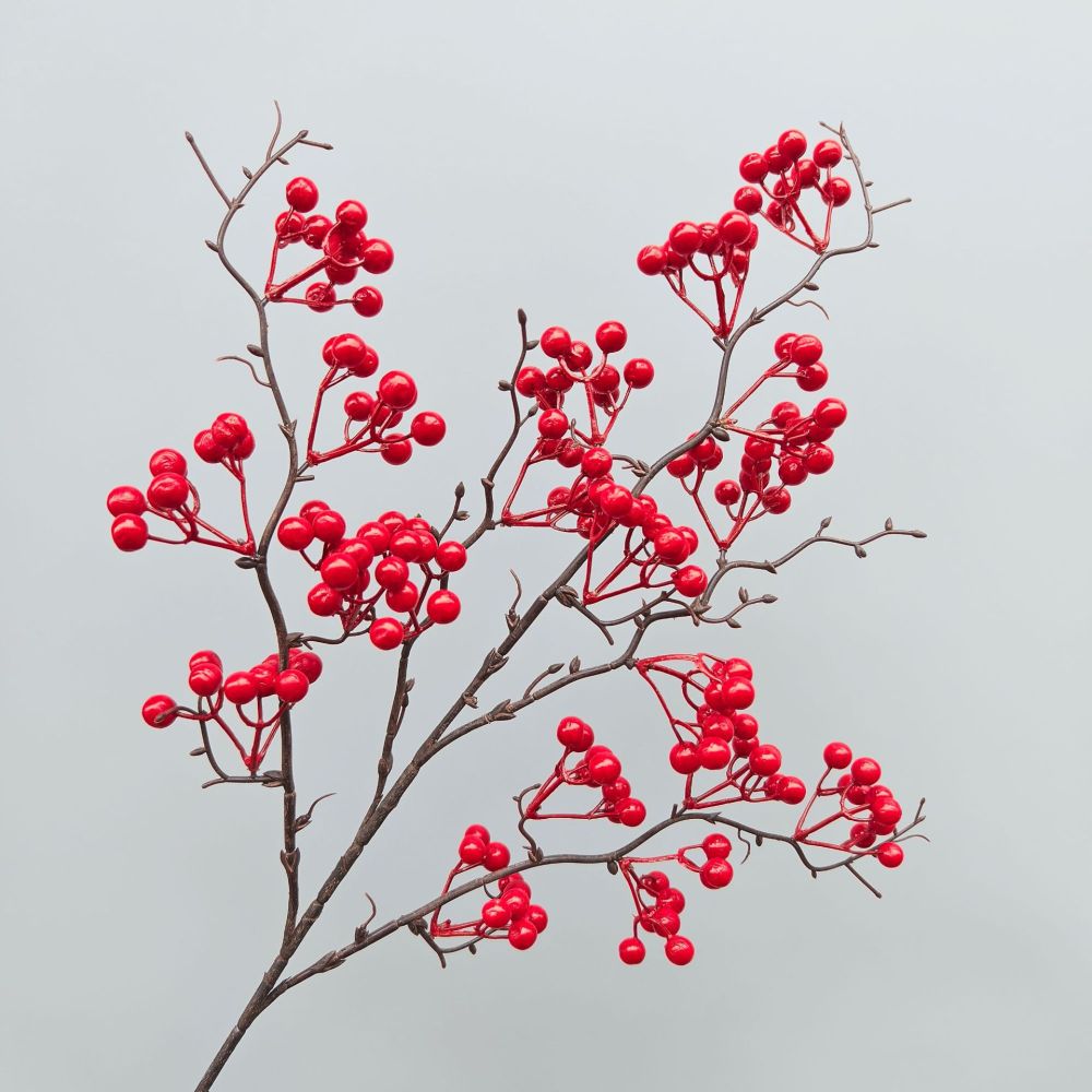 Decorative Simulation Berry Br - đánh giá và giá Photography Simulator